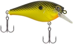 Berkley SquareBull 2 3/8 Inch Shallow Squarebill Crankbait -Fishing Products Store Berkley SquareBull Black Chartreuse 2017 alt2 2000