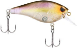 Berkley SquareBull 2 3/8 Inch Shallow Squarebill Crankbait -Fishing Products Store Berkley Squarebull GhostMorningDawn 55 alt2 2000