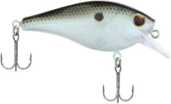 Berkley SquareBull 2 3/8 Inch Shallow Squarebill Crankbait -Fishing Products Store Berkley Squarebull GreenShad 35 alt2 2000