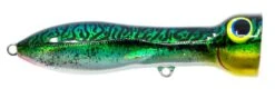 Nomad Design Chug Norris Freshwater/Inshore Popper -Fishing Products Store CHUG95 SGM
