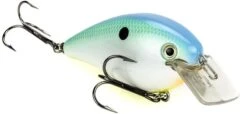 Strike King KVD Magnum Square Bill 8.0 Silent Crankbaits -Fishing Products Store Citrus Shad 869b0422 4e0f 4090 ae67 8d939a4c915e