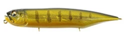 Megabass Dog-X Diamante Rattling Topwater Walker -Fishing Products Store DOG X DIAMANTE RATTLE GG PERCH 5524aa1c cb8b 474b a897 571ab562e18a