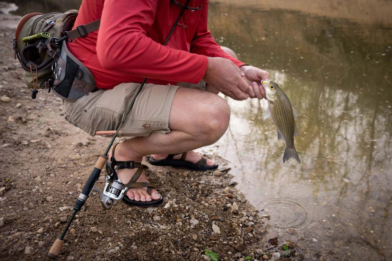 Temple Fork Outfitters Trout-Panfish Spinning Rods 12 Temple Fork Outfitters Trout-Panfish Spinning Rods - Image 10