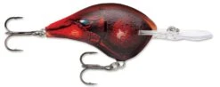 Rapala DT Series Crankbait DT14 -Fishing Products Store Delta 6fd43553 7b93 4215 9088 e2998caefaee