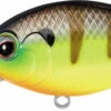 Evergreen International CR-13 Deep Diving Crankbait -Fishing Products Store Evergreen CR 375 TIF f5287ce4 07c9 4544 bcec f5e51e5f13c6