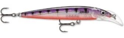 Rapala Scatter Rap Deep Husky Jerk 30 Rapala Scatter Rap Deep Husky Jerk -Fishing Products Store Glass Purple Perch bfb1f09f 8c38 4f9c 83cc a54c6b7bc7b8