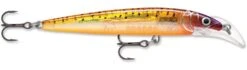 Rapala Scatter Rap Deep Husky Jerk 31 Rapala Scatter Rap Deep Husky Jerk -Fishing Products Store Glass Purple Sunfire be42027e 10b2 4e82 9acf 0ef00c8b79b4