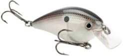 Strike King KVD Magnum Square Bill 8.0 Silent Crankbaits -Fishing Products Store Green Gizzard Shad e3fb3e2e 3286 4745 809c 9948c86fe4db