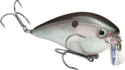 Strike King KVD 2.5 Wake Bait Waking Crankbait -Fishing Products Store HCKVD2.5W 568