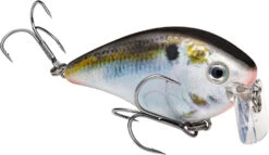 Strike King KVD 2.5 Wake Bait Waking Crankbait -Fishing Products Store HCKVD2.5W 699