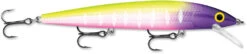 Rapala Husky Jerk 12 Jerkbait/Trolling Minnow 37 Rapala Husky Jerk 12 Jerkbait/Trolling Minnow -Fishing Products Store HJ12 14 MFT 30c50575 8d12 44fc 883c 4253fe262622