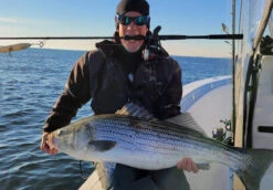 Nomad Design Inshore Spinning Rod -Fishing Products Store Inshore Spin