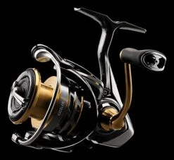 Daiwa Exceler LT Spinning Reel 9 Daiwa Exceler LT Spinning Reel -Fishing Products Store JTKar0HY