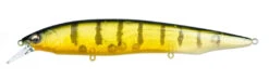 Megabass Kanata Jerkbait 33 Megabass Kanata Jerkbait -Fishing Products Store Kanata GP Pro Perch