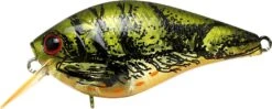 Lucky Craft LC 1.5 Deep Rattle Sound (DRS) Shallow Squarebill Crankbait -Fishing Products Store LC 1 5DRS 188TOGC