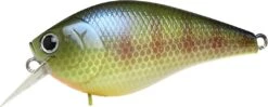 Lucky Craft LC 1.5 Deep Rattle Sound (DRS) Shallow Squarebill Crankbait -Fishing Products Store LC 1 5DRS 269BEGL
