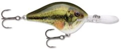 Rapala DT Series Crankbait DT14 -Fishing Products Store Live Largemouth Bass e41a2a50 910d 4609 ac40 3bc3d77b1c5d