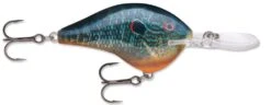 Rapala DT Series Crankbait DT14 -Fishing Products Store Live Pumkinseed 552b3c5e d89f 421f bb94 4b20f67dd065
