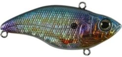 SPRO Aruku Shad 75 Lipless Crankbait -Fishing Products Store Magic Shad 9fbec3ad 9a0f 4e40 8501 80c998f6ed32