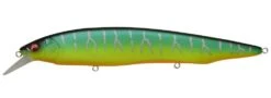 Megabass Kanata Jerkbait 22 Megabass Kanata Jerkbait -Fishing Products Store Mat Tiger dc2fb3af 6924 4536 9d6f 62140e1ab78f