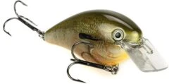 Strike King KVD Magnum Square Bill 8.0 Silent Crankbaits -Fishing Products Store Orange Bream 8d82629c 742b 46f0 8fc2 0fe360b975f3