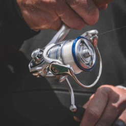 Daiwa Procyon MQ LT Spinning Reel -Fishing Products Store Procyon3Spot 1000x a9dd0fff 5484 484f ada8 569f03ffa72b