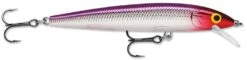 Rapala Husky Jerk 06 Jerkbait/Trolling Minnow -Fishing Products Store Purple Clown 98b04b85 a3f6 45ba 9b17 e002e47da518