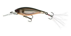 Yo-Zuri 3DB Shad Suspending 2 3/4 Inch Medium Diving Crankbait -Fishing Products Store R1104 PTSH 681c5d1a c821 425b 84f6 1c63125329a6