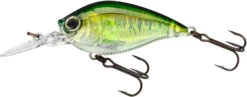Yo-Zuri 3DB Crank 1.5 MR Medium Diving Crankbait