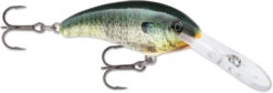 Rapala Shad Dancer SDD05 Medium Diving Crankbait 29 Rapala Shad Dancer SDD05 Medium Diving Crankbait -Fishing Products Store SDD BGL