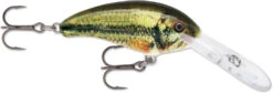 Rapala Shad Dancer SDD05 Medium Diving Crankbait 30 Rapala Shad Dancer SDD05 Medium Diving Crankbait -Fishing Products Store SDD LBL