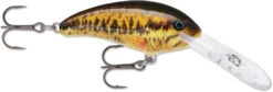 Rapala Shad Dancer SDD05 Medium Diving Crankbait 33 Rapala Shad Dancer SDD05 Medium Diving Crankbait -Fishing Products Store SDD SBL