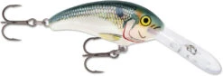 Rapala Shad Dancer SDD05 Medium Diving Crankbait 41 Rapala Shad Dancer SDD05 Medium Diving Crankbait -Fishing Products Store SDD SD