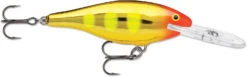 Rapala Shad Rap 1 1/2 Inch Medium Diving Crankbait SR04 -Fishing Products Store SR04JLC b5a7483b 77ff 4d38 9c3c 177ccb0b42ee
