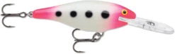 Rapala Shad Rap 2 3/4 Inch Medium Diving Crankbait SR07 -Fishing Products Store SR07GPSQ e2311374 3e16 40f0 8399 acae09287d42