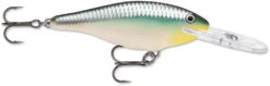 Rapala Shad Rap 1 1/2 Inch Medium Diving Crankbait SR04 -Fishing Products Store SR BBH cb4e7db4 4de9 4deb 8383 21dfc93c348f