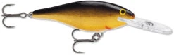 Rapala Shad Rap 1 1/2 Inch Medium Diving Crankbait SR04 -Fishing Products Store SR G bb01361c 9008 426b b54d 388e8c21ff51