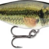 Rapala Shad Rap 2 Inch Medium Diving Crankbait SR05