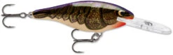 Rapala Shad Rap 1 1/2 Inch Medium Diving Crankbait SR04 -Fishing Products Store SR POCW a20c5c5b a2e0 44ee a81e 8a294646107c