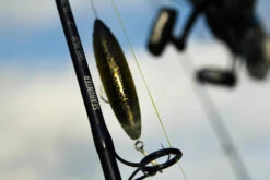 Temple Fork Outfitters Seahunter Spinning Rods -Fishing Products Store Seahunter Bottom Banner 3 99a9073b 1467 4106 a835 1795aa8022a3