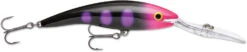 Rapala Deep Tail Dancer 11 Extra Deep Diving Crankbait -Fishing Products Store TDD BLKL b61cb726 3f6e 44a2 8874 bdb562d9f6bb