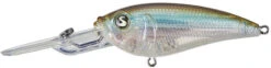 River2Sea Tactical DD 3 Inch Deep Diving Crankbait -Fishing Products Store TacticalDDCrank7511AClearWaterMinnow a0bfdd70 ee46 4b86 969b fe356401e331