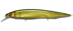 Megabass Kanata Jerkbait 30 Megabass Kanata Jerkbait -Fishing Products Store Wakin Golden Ayu 2 00b6ab4a 3def 4b45 9e52 f693f22d22f4