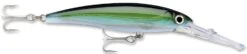Rapala X-Rap Magnum 10 Big Game Slash Bait 40 Rapala X-Rap Magnum 10 Big Game Slash Bait -Fishing Products Store Yellowfin Tuna add30b88 e845 4111 b00f a8081e56ef9b