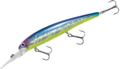 Bandit Suspending Minnow Walleye Deep -Fishing Products Store bdtsm01 blueshiner