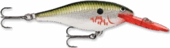 Rapala Shad Rap 2 3/4 Inch Medium Diving Crankbait SR07 -Fishing Products Store bleeding 2Bolive 2Bflash fbfdec03 6a18 4e40 94ed cea596d27917