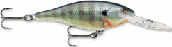 Rapala Shad Rap 2 3/4 Inch Medium Diving Crankbait SR07 -Fishing Products Store bluegill 19734add 0504 4e96 bd45 3786891dbb18