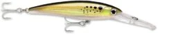Rapala X-Rap Magnum 40 Big Game Slash Bait 25 Rapala X-Rap Magnum 40 Big Game Slash Bait -Fishing Products Store bunker 628d1cb7 16e9 4812 9d82 e4fb9334c5e2