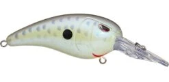 SPRO Mike McClelland RkCrawler 50 Medium Diving Crankbait -Fishing Products Store cell mate