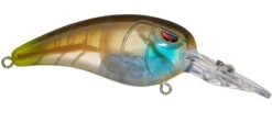 SPRO Mike McClelland RkCrawler 50 Medium Diving Crankbait -Fishing Products Store clear gill